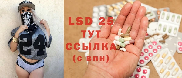 шишки Белокуриха