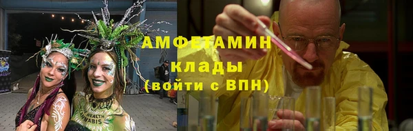 сатива Богданович