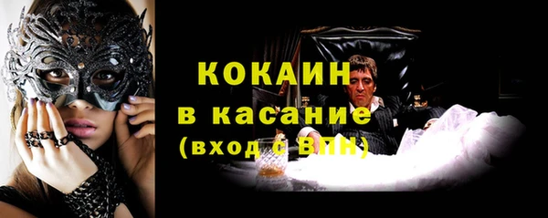 сатива Богданович