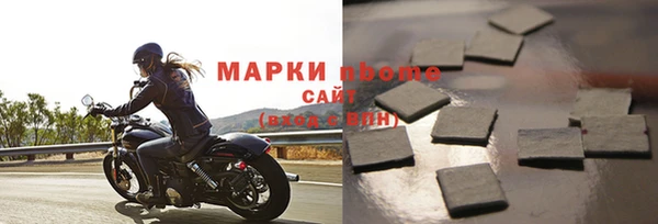 шишки Белокуриха