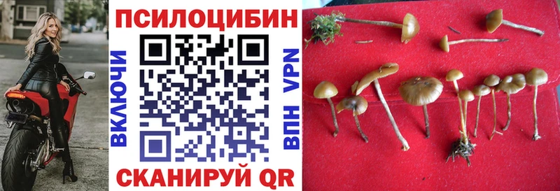 Псилоцибиновые грибы прущие грибы Белоозёрский